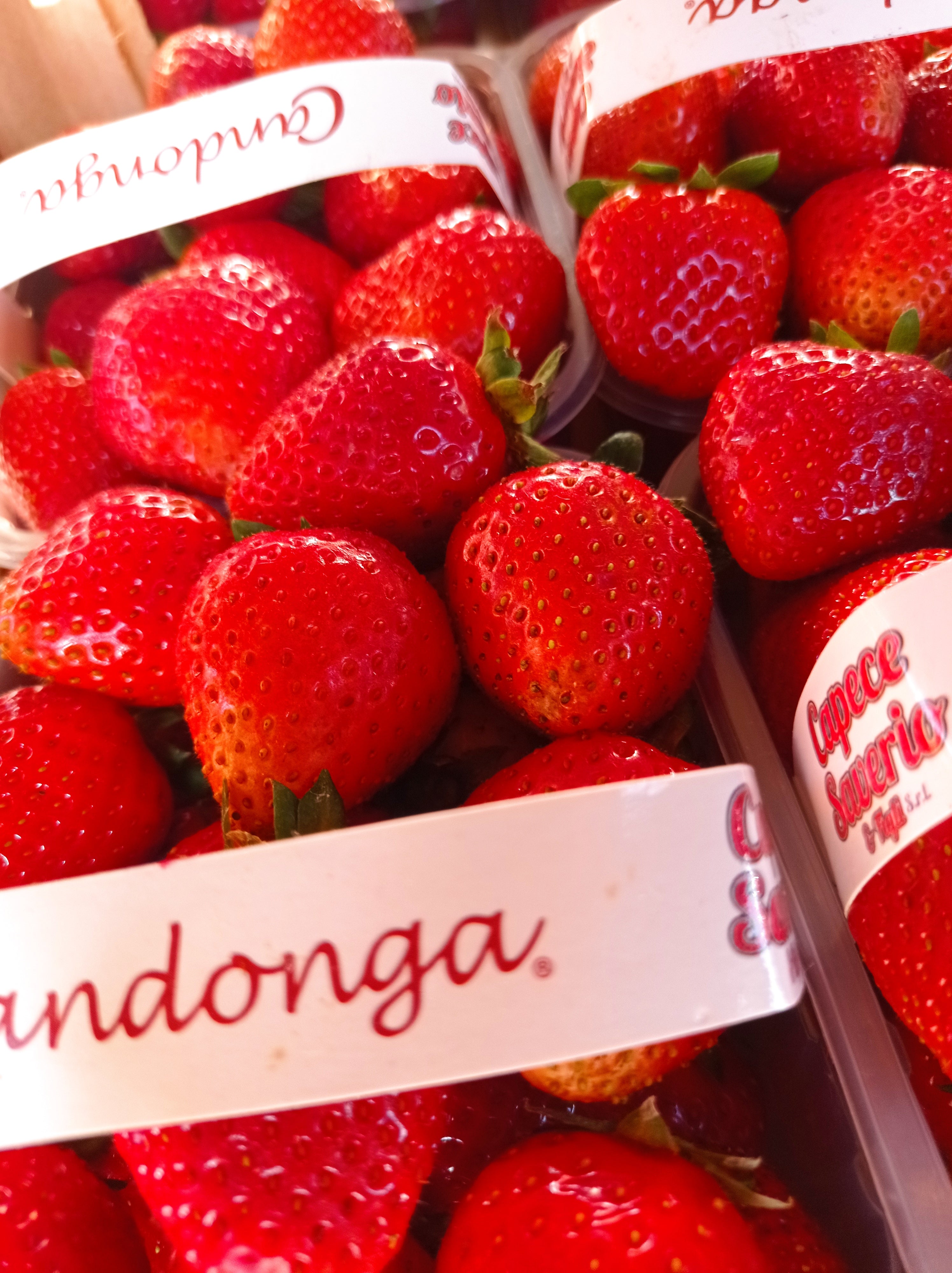 Confettura extra di fragola