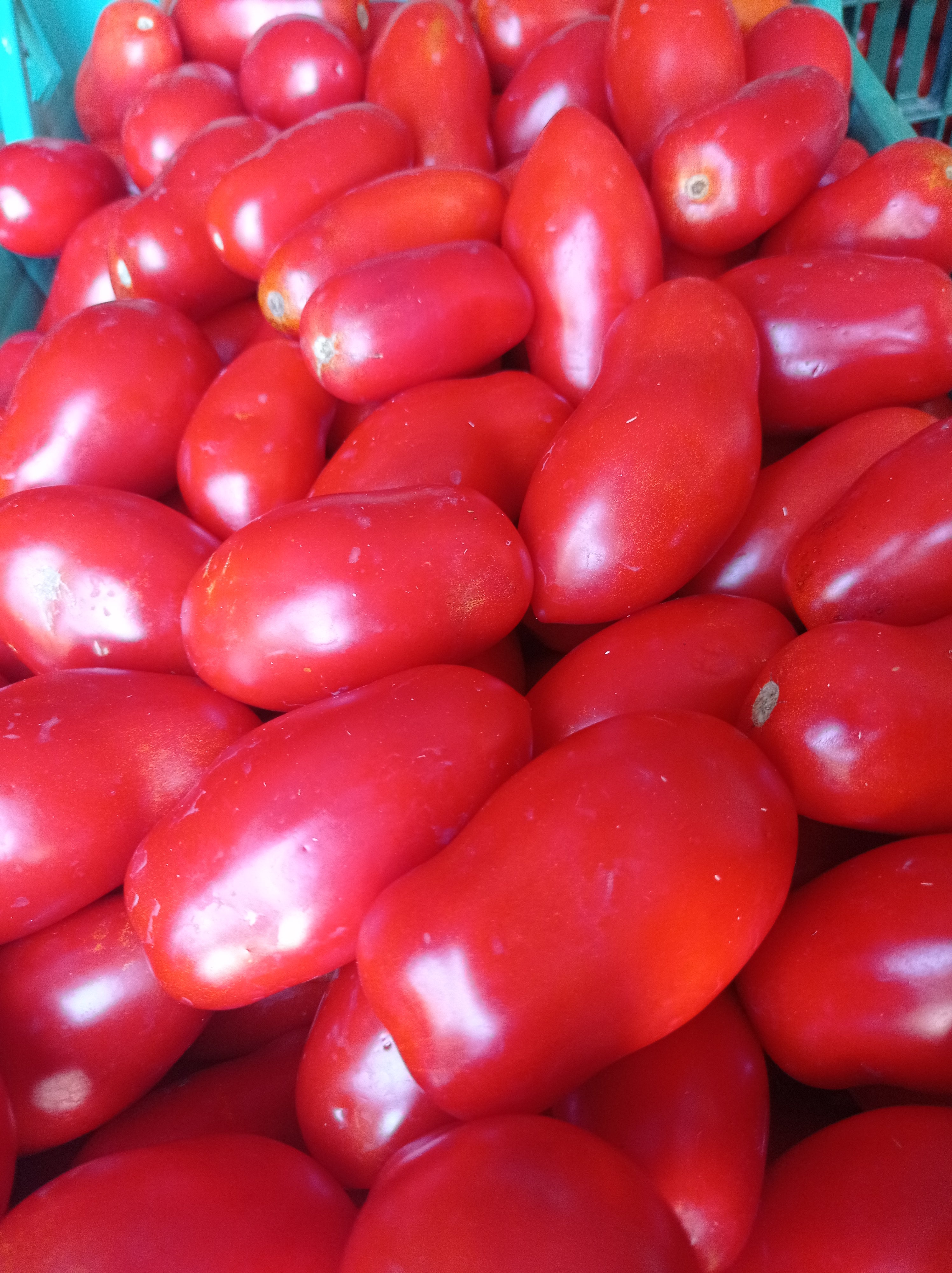 Passata di pomodoro