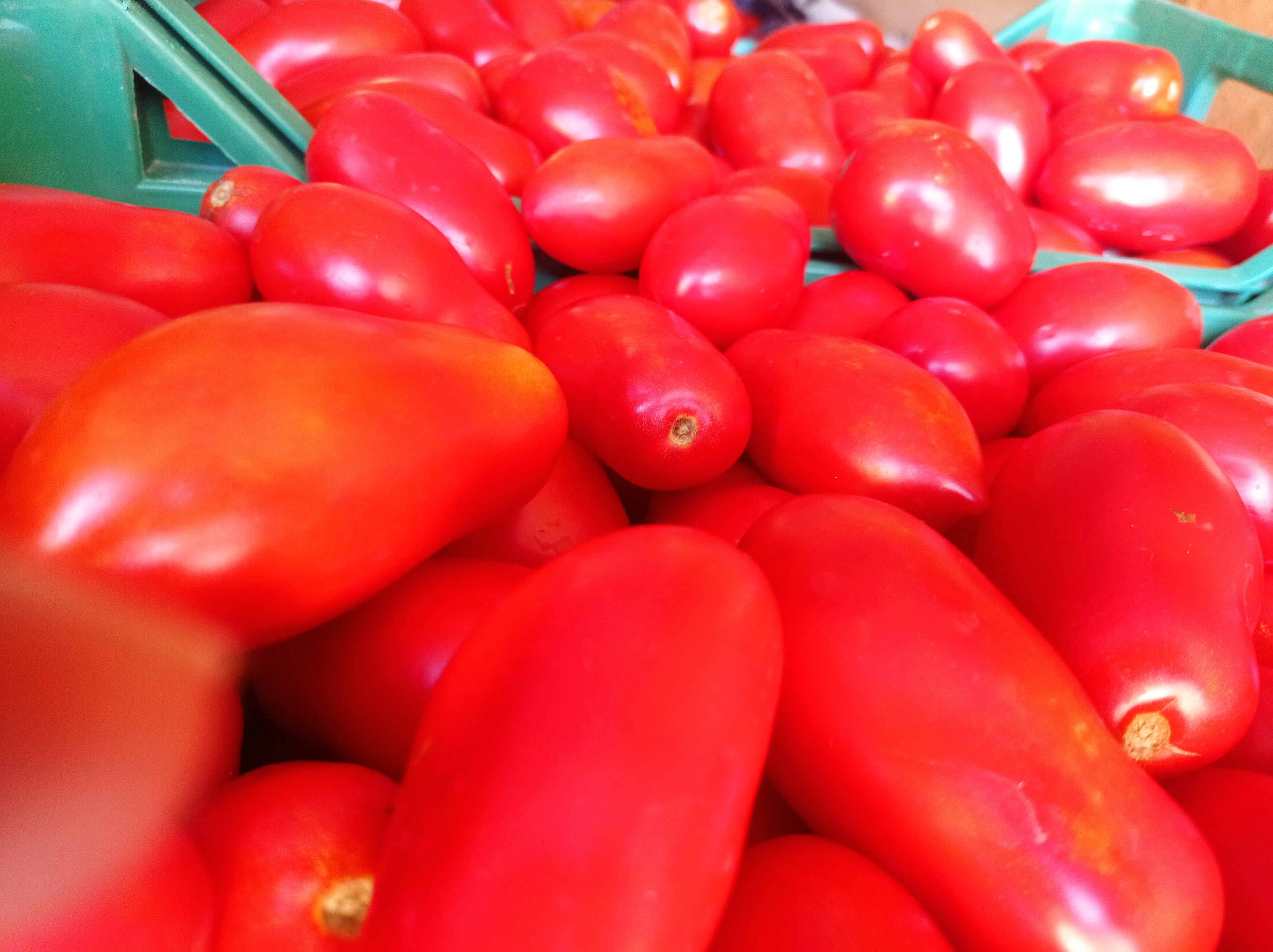 Passata di pomodoro